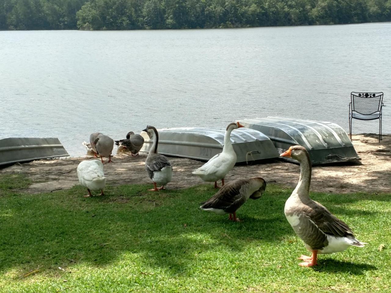 Lake Tiak - O'Khata Resort Louisville Zewnętrze zdjęcie